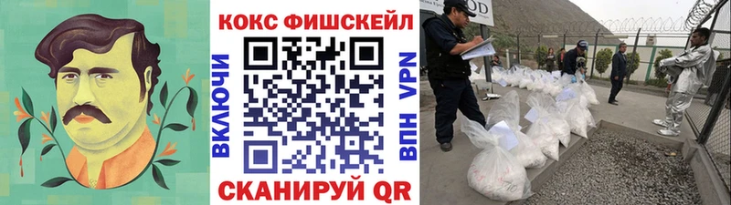 Купить где  Дыгулыбгей  COCAIN 97% 