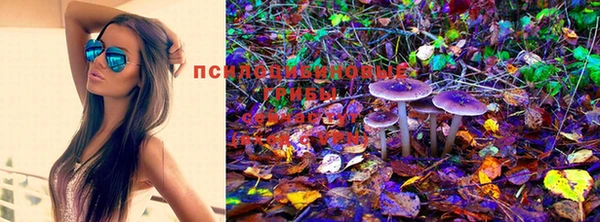 а пвп мука Покровск