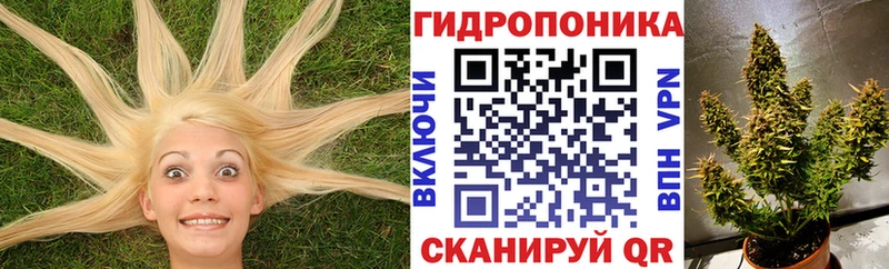 Купить где  Дыгулыбгей  Бошки марихуана LSD WEED 